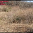 화도면-4 이미지