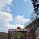 정관중앙로 | 부산 정관 소원사, 조용히 다녀오기 좋은 힐링 사찰 (대형 와불·소원길 후기)