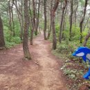 산책가는길 이미지