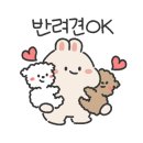 사천5901캠핑장 이미지