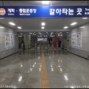 노량진역(2) 이미지