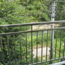 약물내기 스테이 이미지