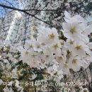 미래앤공인중개사사무소 이미지