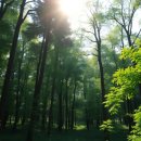 명성메디칼 | 오가닉 사운드, 영등포 황금비책에서 찾은 리얼 후기