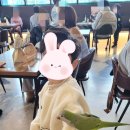 리프패럿앵무새체험관 - 통영시 동달안길 34-84 | 리프패럿앵무새체험관