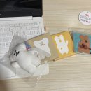 [직장인 더현대 마실] 다이노탱 쿼카 앤 보보 팝업 구매 후기
