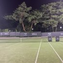 더 파인트리 이미지