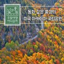 아카디아 중앙일보