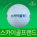 (주)엘위즈