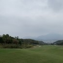 리얼골프투어 이미지