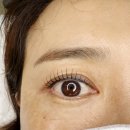 휴먼빌할인마트 | 전주 속눈썹펌 잘하는 곳 ✨ 미쁘다뷰티 솔직 후기