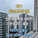 방촌페인트