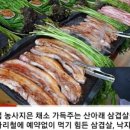 참숯사랑 네이버블로그
