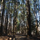 영천초교 이미지