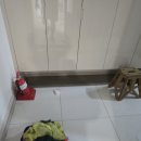 한라비발디2차아파트 경로당 | 시흥 배곧 한라비발디 2차 이사청소 후기