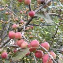 GR(완주군)-[구이로]-하-33 | 2025년 9월