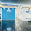 스카이애견 이미지