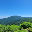 산사랑 - 울진군 | 산사랑