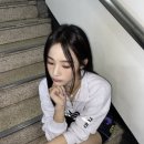 허브나무 이미지