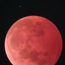 안성맞춤천문과학관 이미지