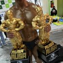 파이널 멀티짐 대구 명덕점 | 대구 몰리짐 박범수 트레이너 musa 광주출전기[봉덕동 헬스장][남구 24시간 헬스][바디 프로필][대명동...