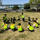 자연사랑유아스쿨어린이집 이미지