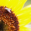 계양고등학교 앞 이미지