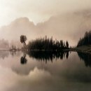 산유화 이미지