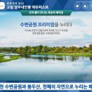 용인마트 앞 이미지