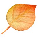 북면수변공원(야구장) 이미지