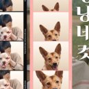 데이멍스 이미지