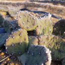 재호농장 이미지