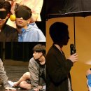 허니퍼피 이미지