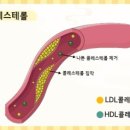 구공피티스튜디오 이미지