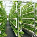 이상욱농장 이미지