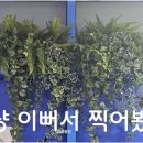 아비케밥(Abi Kebab)