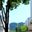 동백바둑 이미지
