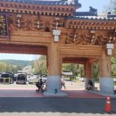 주곡숲 버스정류장 이미지