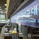 꼼작 스트레이트뉴스