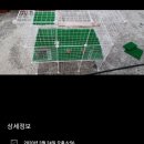 메추라기집 이미지