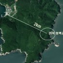 가덕도 동백군락지 이미지