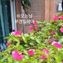 성분도어버이집 이미지
