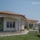 엘림노인복지센터 이미지