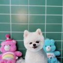 우댕샵