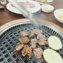 또순이간받이