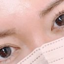 유지도트 이미지