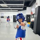 건강한 태권도장 이미지