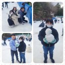 계명대아이태권도 이미지