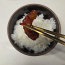 낙지젓갈 오징어젓갈 진선미광천토굴젓