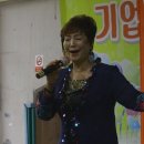 상록수